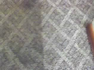 Lewie's Carpet Cleaning Image