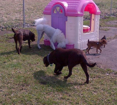 Bevan's Pet Center Image