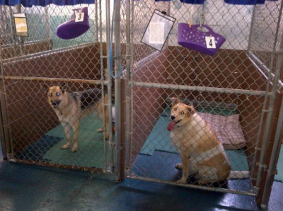 Bevan's Pet Center Image