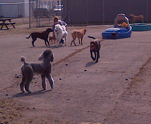 Bevan's Pet Center Image