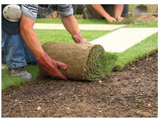 L & L Landscaping Svc Image