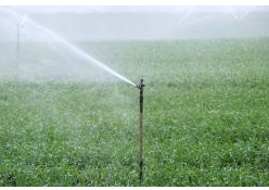 L &amp; L Landscaping Svc Logo