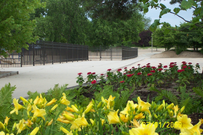 Custom Built Fence & Deck Image
