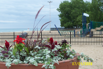 Custom Built Fence & Deck Image