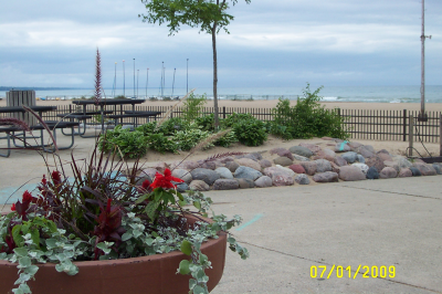 Custom Built Fence & Deck Image