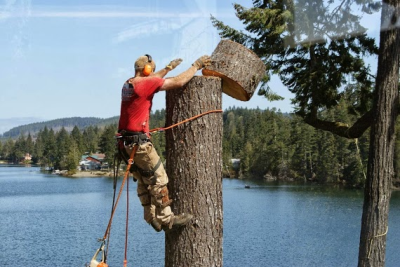 Tree Service Atlanta Pros Logo