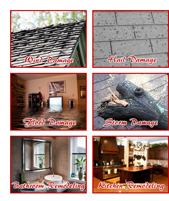 Dragonfly Renovation Image