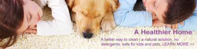 Chem-Dry Carpet &amp; Upholstery Cleaning Logo