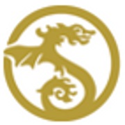 Dragon Financial, Inc. Logo
