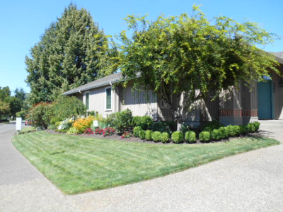 Tender Earth Lawn and Yard Clean up Services Eugene Logo