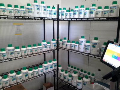 A Touch of Paint Collision &amp; Custom Logo