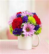 Alyssa's Flower Shop Image