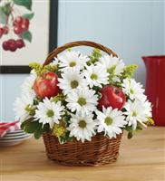 Alyssa's Flower Shop Image