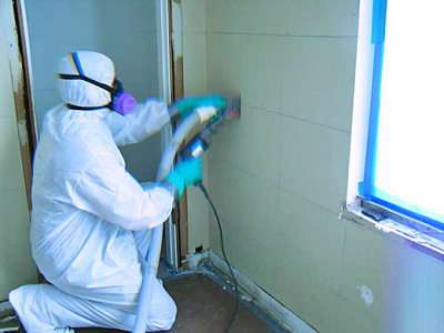 Mold Removal Logo