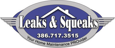 Leaks &amp; Squeaks Logo