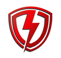 Virginia Lightning Protection, LLC Logo
