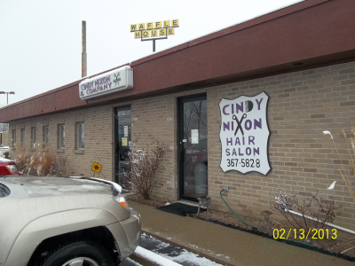 Cindy Nixon and Company Logo