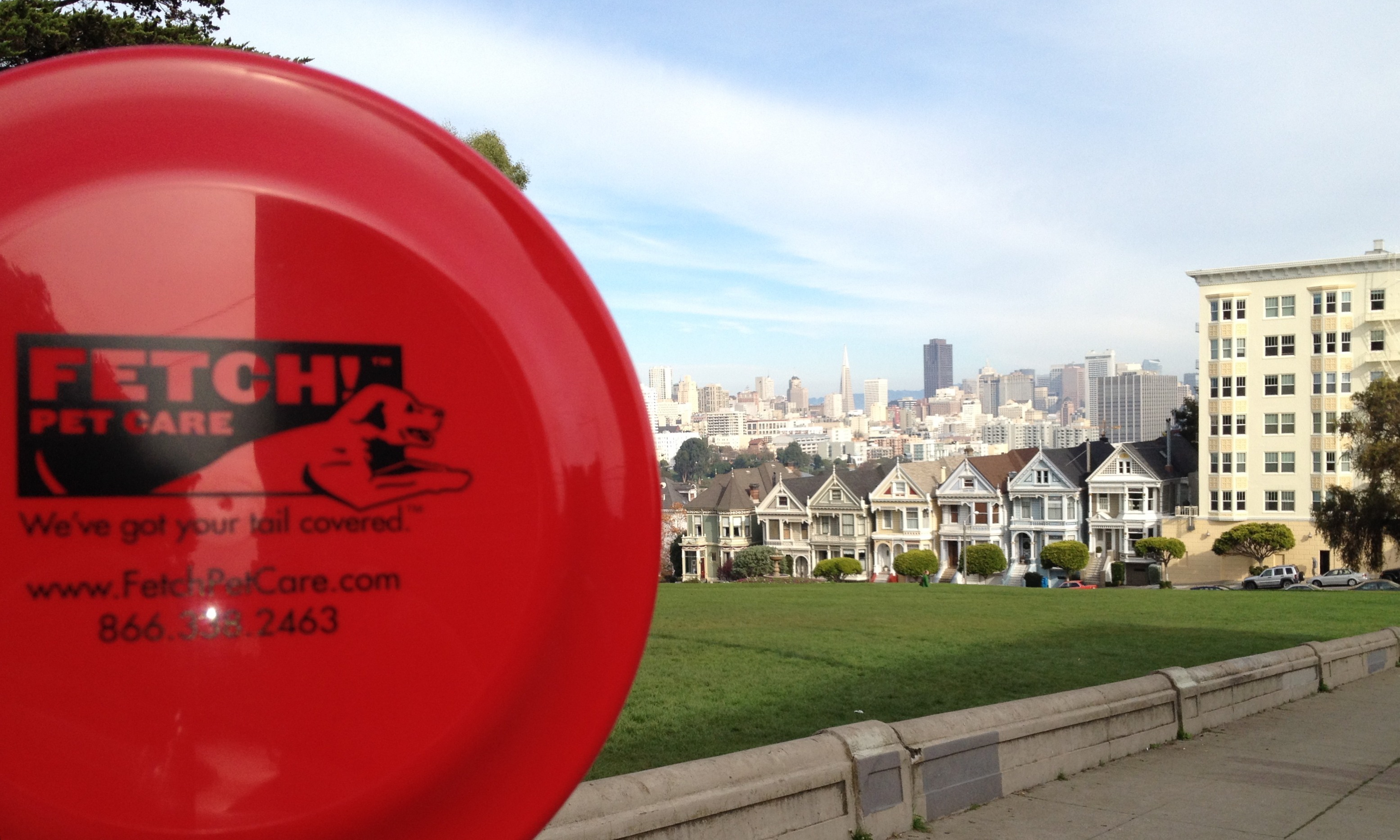 Fetch! Pet Care of San Francisco Logo