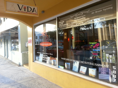 Vida Day Spa Wellness Center Logo