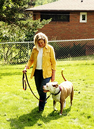 Coaching Canines Image