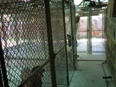 Pinewood Pet Camp Image