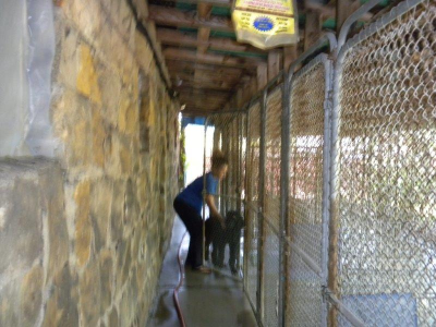 Pinewood Pet Camp Image