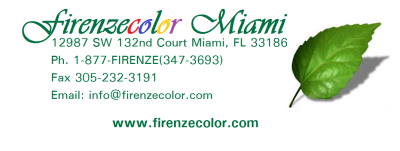 Firenzecolor Logo