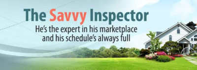 The Savvy Inspector Image