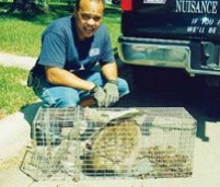 Critter Detectives Image