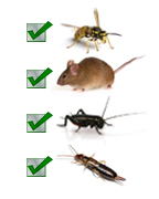 Northern Nevada Pest Control Image