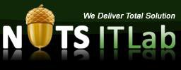 NutsITLab LLC Image