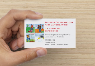 Landscaping and Irrigation by Anthony Logo