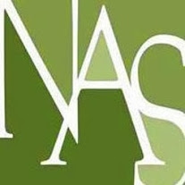 North Aurora Smiles Image