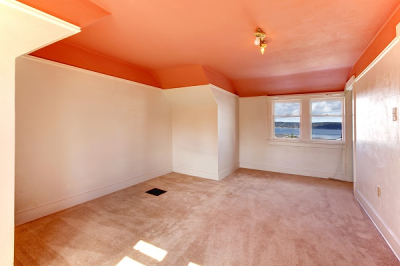 ProTect Painters Logo