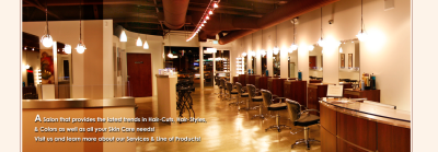 A La Mode Hair Studio Logo