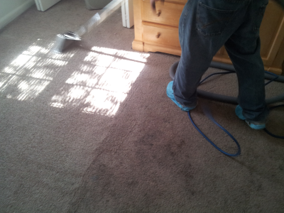 Premier Performance Carpet Cleaning Image