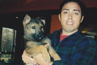 Dog Training & Beyond Image