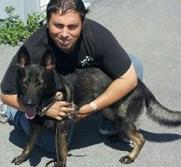 Dog Training & Beyond Image