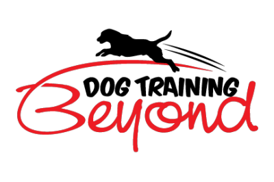Dog Training &amp; Beyond Logo