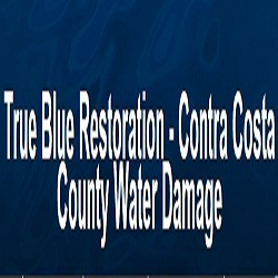 True Blue Restoration Logo