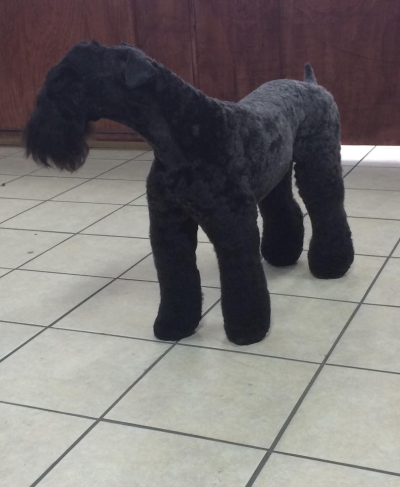 Lucky Dog Grooming Image