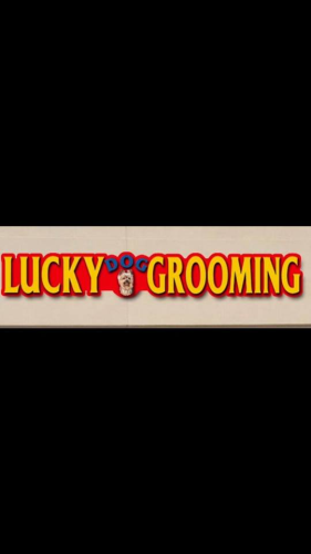Lucky Dog Grooming Logo