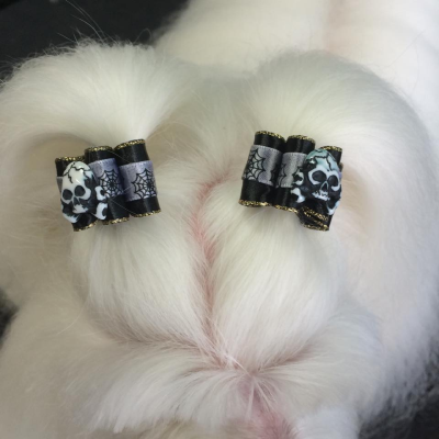 Lucky Dog Grooming Image