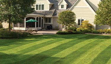 Xpert Lawns Logo