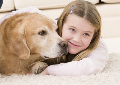 Chem-Dry of Mendocino County Logo