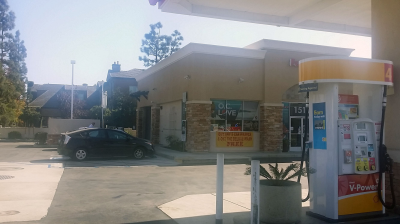 South Coast Shell Image