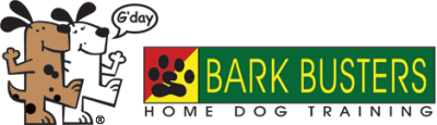 Bark Busters Home Dog Training Miami Image
