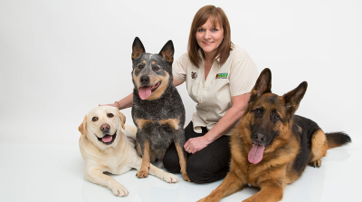 Bark Busters Home Dog Training Miami Image