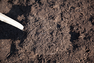 The Sagamore Companies Logo