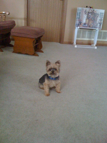 A Personal Touch Cleaning & Restoration Image